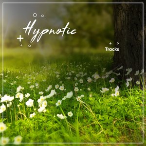 Concentration Regeration Alpha Waves