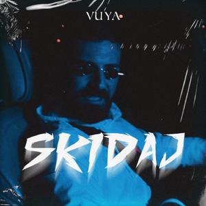 Skidaj