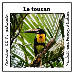 Le toucan