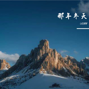 一盏灯花