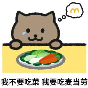 胖猫（月丿）