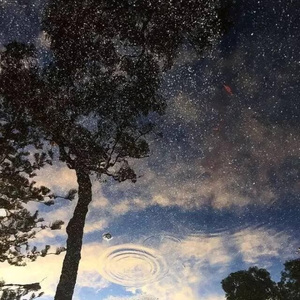 歩いても 歩いても