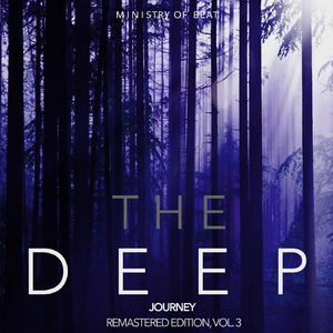 The Last Chance to Love (Remastered)