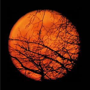 Żeby to światło nie zgasło