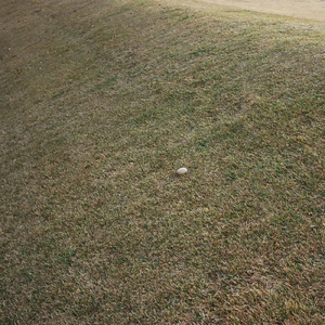 Kochia: 散文, 2026 Jan.