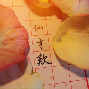 China-C 三弄国乐翻弹（翻自 徐梦圆）