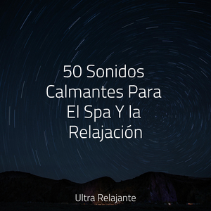 Un Paseo Por La Playa