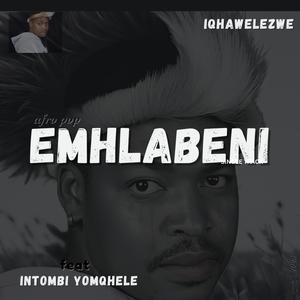 EMHLABENI (feat. Intombi yomqhele) (Radio Edit)