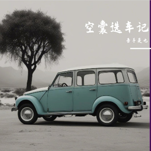 空囊选车记之星光下的抉择