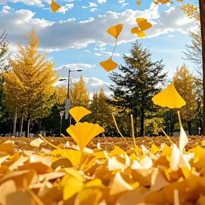 怎么可能和谁过都一样 (1)