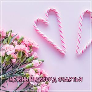 Песни для солнечного утра