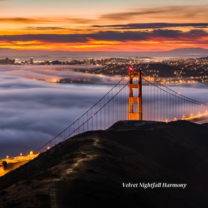 Velvet Nightfall Harmony
