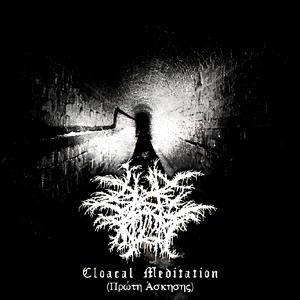 Cloacal Meditation