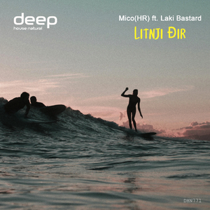 Litnji Đir