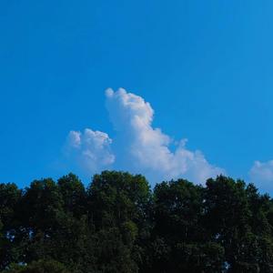 你是这个夏天吹来的晚风