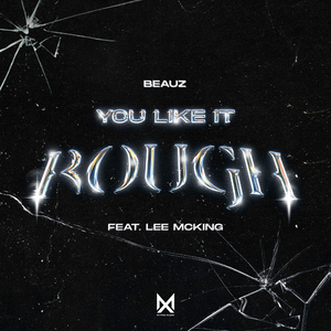 You Like It Rough (feat. Lee McKing) [Extended Mix]