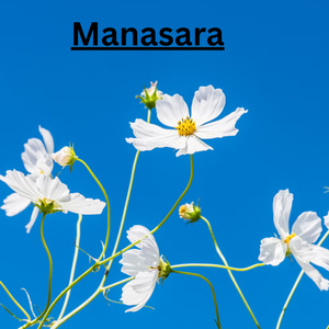 Manasara