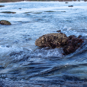 life's a struggle（翻自 宋岳庭）