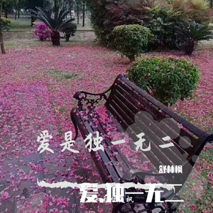 《夜空中最亮的星》