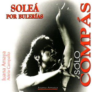 Tercera Parte - Escobillas