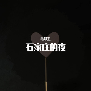 石家庄的夜（Cover晚睡叭.）