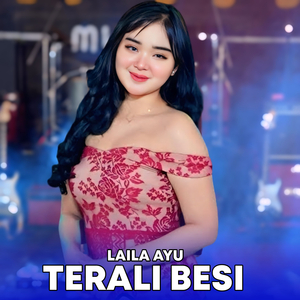 TERALI BESI