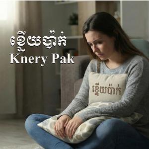 ខ្នើយប៉ាក់ Knery Pak