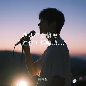 我从不后悔爱过你 (烟嗓版) (陈浮生 Remix)