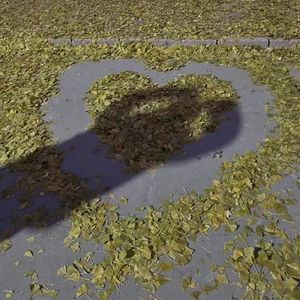 我把我的小猫弄丢了(Prod by Young Loui$)