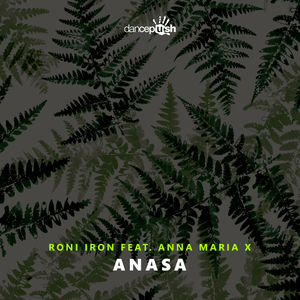 Anasa