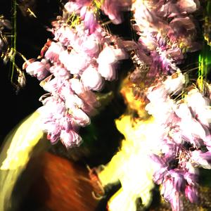 Lens (feat. Victxrw)