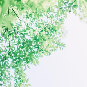 Too many questions to ask