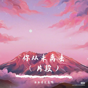 你从未里离去（片段）