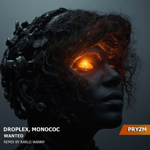 Wanted (Karlo Wanny Remix)