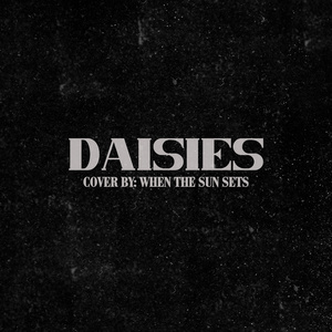 DAISIES