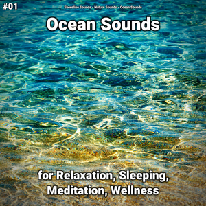 Ocean Sounds Part 68