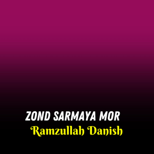 Zond Sarmaya Mor