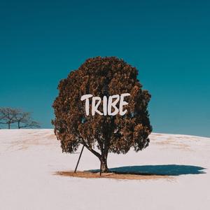 Tribe