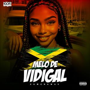 Melô de Vidigal (Igor Producer & Ckmc_originall Remix)
