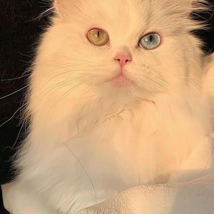 第三人称 Type Beat