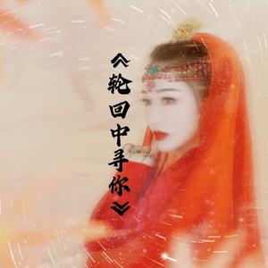 轮回中寻你