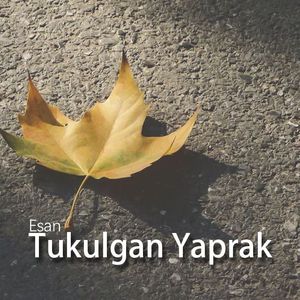 TukuLgan Yaprak