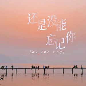 还是没能忘记你