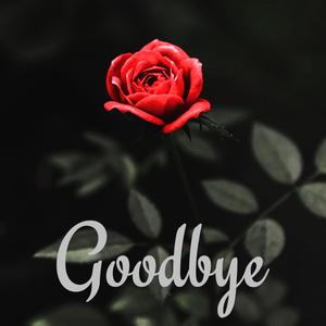 Goodbye