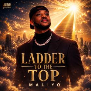 Ladder to the top