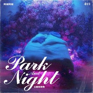 公园和夜晚