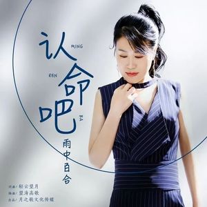 认命吧（DJ版）