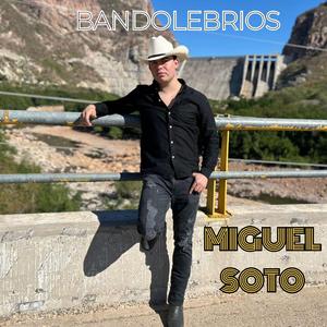 BANDOLEBRIOS