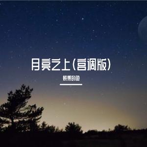 凤凰传奇-月亮之上 宫调器乐版（烧焦的鱼 remix）