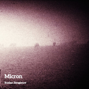 Micron
